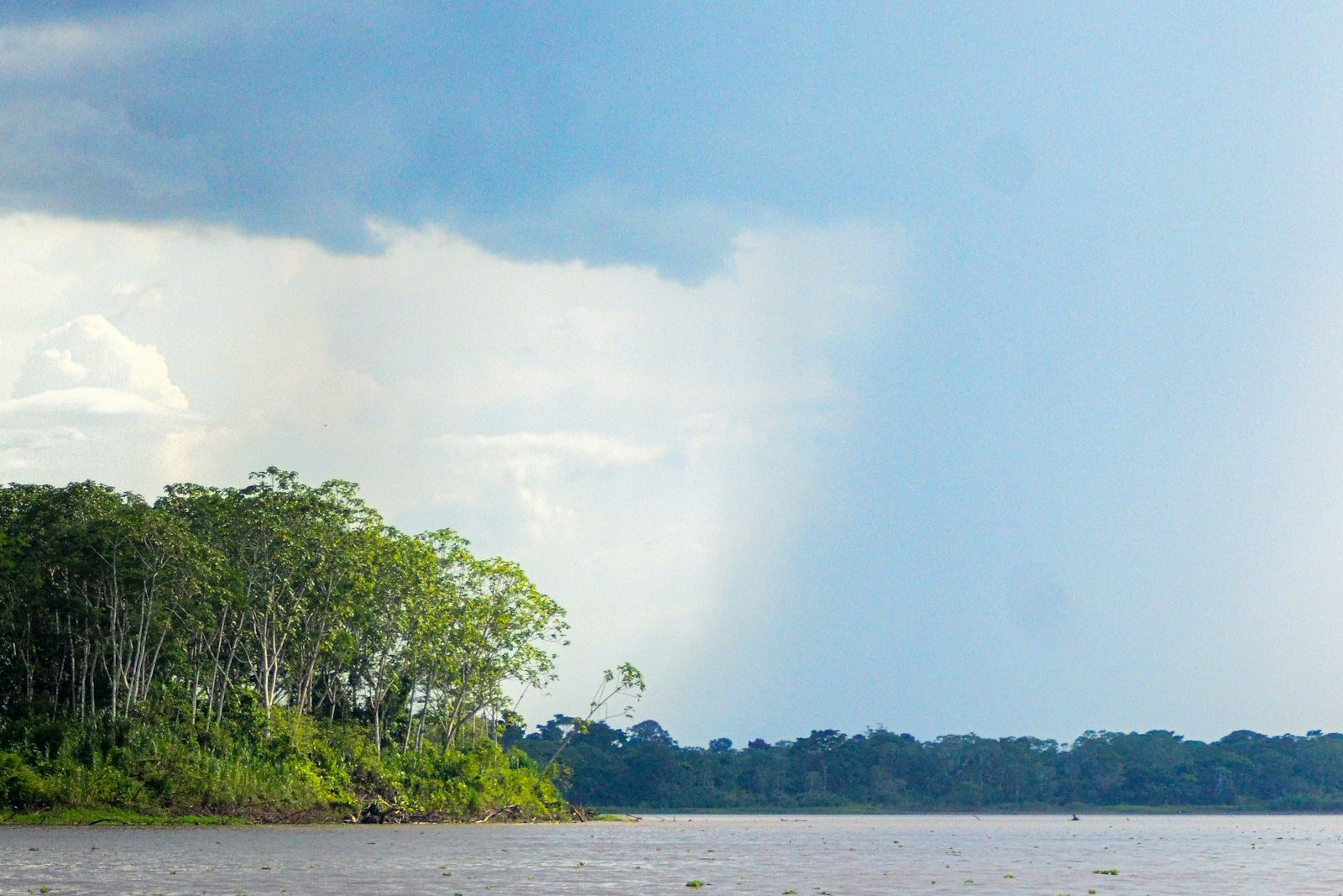 The Amazon — a wide river through the rainforest