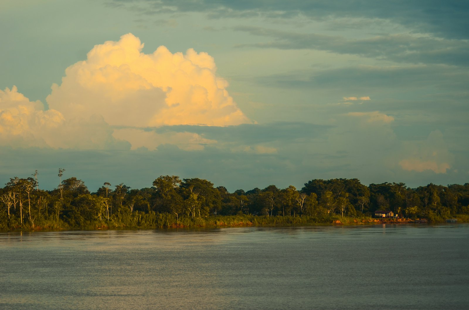 Golden light over the Amazon at dusk