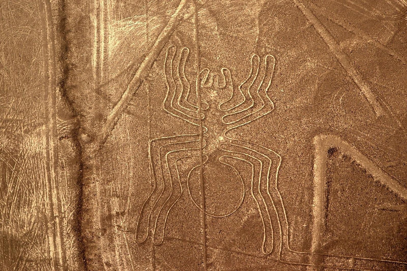 The Spider geoglyph of the Nazca Lines