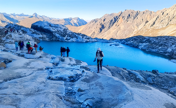 Alpacas grazing below the snow peaks of the Raura Range